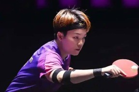 壹号-网球季后赛焦点战：闽南迅豹队大胜岭东巨龙队，外线火力全开。教练团队居功至伟的简单介绍